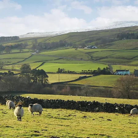 Millstream - Uk1532 Holiday home Alston
