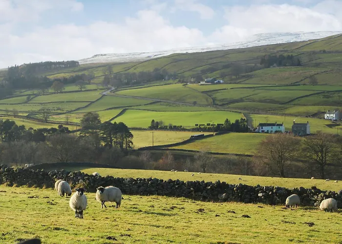 Millstream - Uk1532 Holiday home Alston
